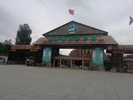 沈陽(yáng)森林動(dòng)物園 沈陽(yáng)森林動(dòng)物園