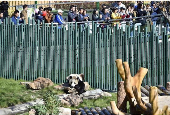 沈陽(yáng)森林動(dòng)物園 沈陽(yáng)森林動(dòng)物園