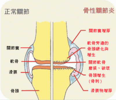 凈水器租賃 凈水器租賃