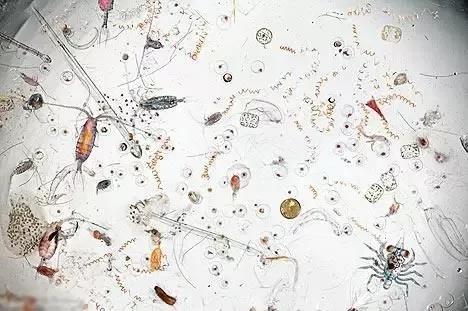 浩澤凈水器 浩澤凈水器